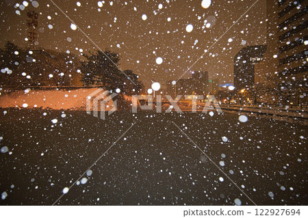 暴風雪中的福井縣廳護城河和福井站的恐龍 122927694