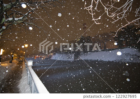 Fukui Prefectural Office Moat in a Snowstorm and Dinosaurs at Fukui Station Fukui Prefectural Office Moat in a Snowstorm and Dinosaurs at Fukui Station 122927695