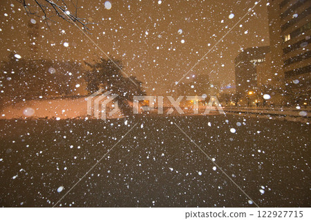 暴風雪中的福井縣廳護城河和福井站的恐龍 122927715