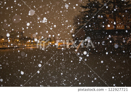 Fukui Prefectural Office Moat in a Snowstorm and Dinosaurs at Fukui Station 122927721