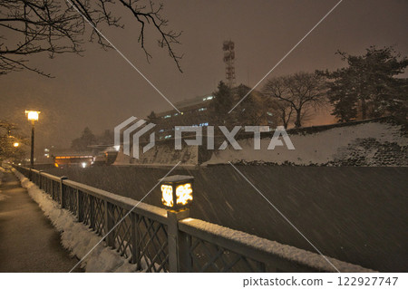 Fukui Prefectural Office Moat in a Snowstorm and Dinosaurs at Fukui Station 122927747