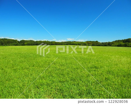 炎熱而荒涼的一天，盛夏時節，水元公園的風景，草地和森林 122928036