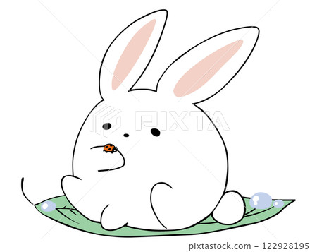 兔子瓢蟲 122928195