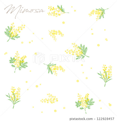 Mimosa hand drawn watercolor illustration 122928457