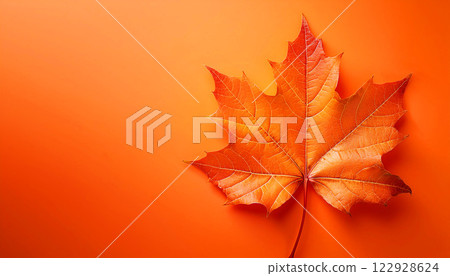 close-up of a vibrant orange maple leaf set against a matching orange background. The intricate veins and delicate texture of the leaf are highly detailed, showcasing the beauty of autumn 122928624