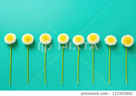 Ai generated Creative set of bright summer flowers in a row on green background 122928982