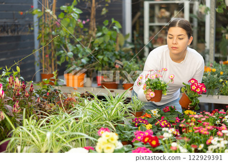 Gardener woman holding potted viola and daisy in container garden 122929391