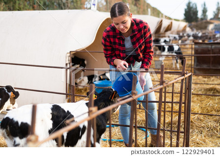 Young female farm worker scooping milk into buckets for taking care of calves with tags on spring farm Young female farm worker scooping milk into buckets for taking care of calves with tags on spring farm 122929401