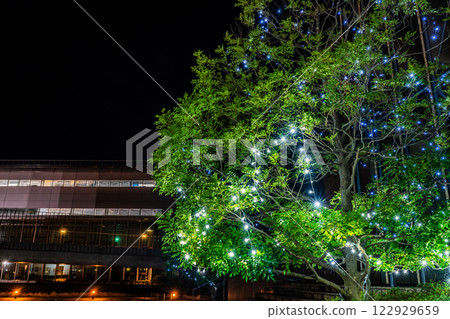 Nagasaki Prefectural Art Museum Light-up Illumination [Nagasaki City] 122929659