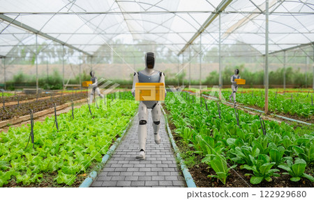 Robot assistant harvest in farm 122929680