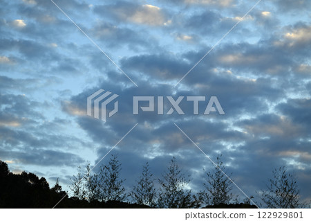 冬日傍晚的風景/黃昏[背景素材] 122929801