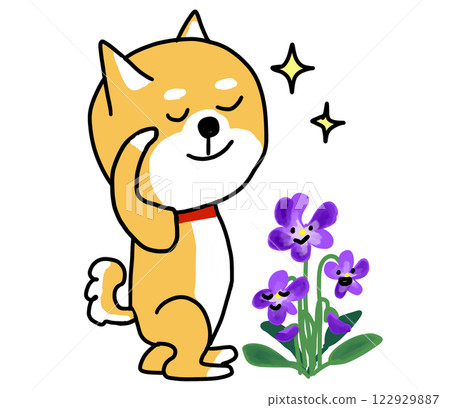 Violets and Shiba Inu 122929887