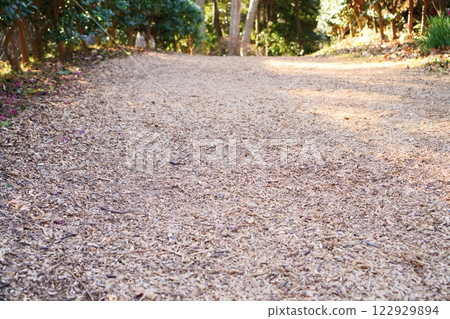 Fine wood chip mountain path 122929894