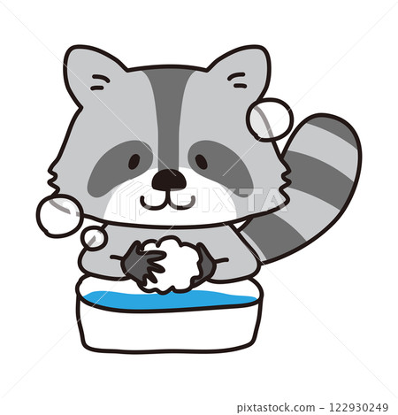Raccoon washing hands 122930249