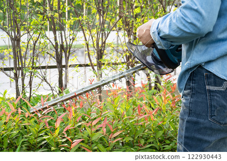 Woman taking care and growing plants, Hobby planting home garden, ornamental pruning. Woman taking care and growing plants, Hobby planting home garden, ornamental pruning. 122930443