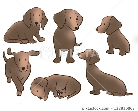 Miniature Dachshund Icon Set 122930862