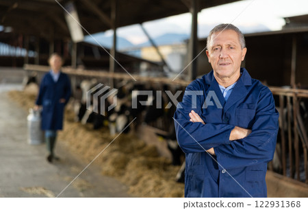 Successful elderly breeder of dairy cows posing in cowshed on farm Successful elderly breeder of dairy cows posing in cowshed on farm 122931368