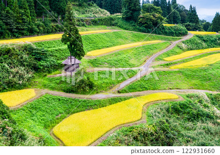 新潟魯須原梯田：秋收 122931660
