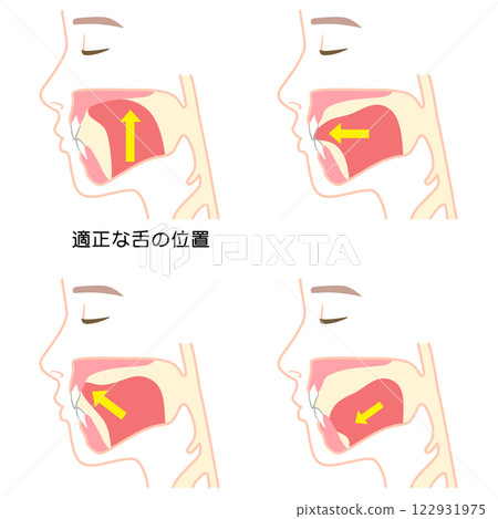 如何正確喵喵叫：正確且不正確的舌頭位置 122931975