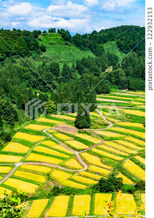Niigata Keichi Rice Terraces: Harvest Autumn Niigata Keichi Rice Terraces: Harvest Autumn 122932153