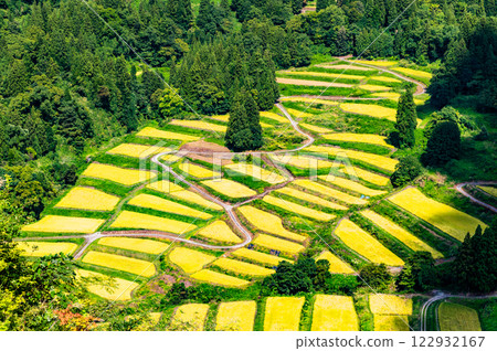 新潟慶市梯田：豐收的秋天 122932167