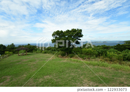 Miharashi-no-Oka (Wakayama City Youth Exchange Center) [Wakayama City, Wakayama Prefecture] 122933073