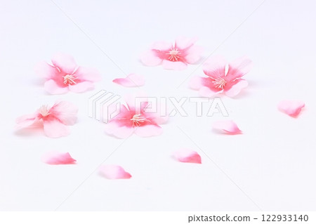 Cherry blossom background material Cherry blossom background material 122933140