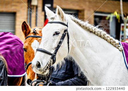 Horse parade at the Festival of the Three Tombs in Igualada, Barcelona Horse parade at the Festival of the Three Tombs in Igualada, Barcelona 122933440