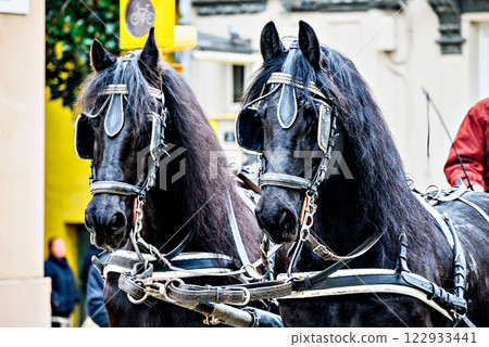Horse parade at the Festival of the Three Tombs in Igualada, Barcelona 122933441