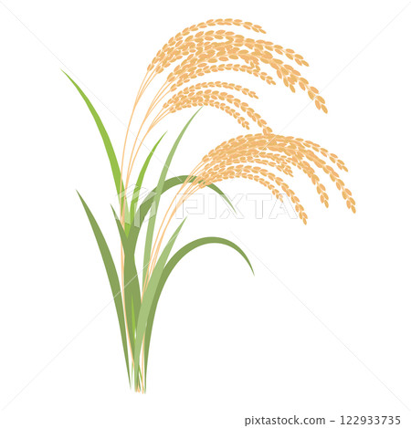 簡單的米飯插圖 122933735