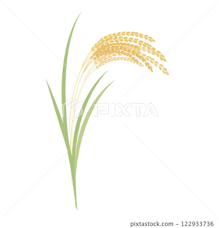 Simple rice ear illustration 122933736