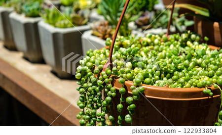 Hanging Hanging 122933804