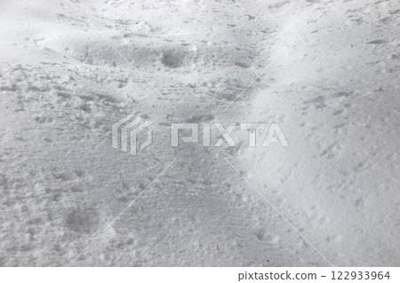 [Gouho Park] A blanket of snow 122933964