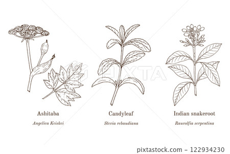 Collection of edible and medicinal plants 122934230