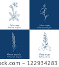 Collection of edible and medicinal plants 122934283