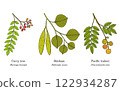 Collection of edible and medicinal plants 122934287