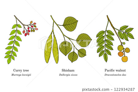 Collection of edible and medicinal plants Collection of edible and medicinal plants 122934287