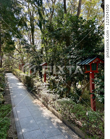 小野ノウエ神社 南淡路市 122934350