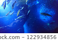 水族館魚類 122934856