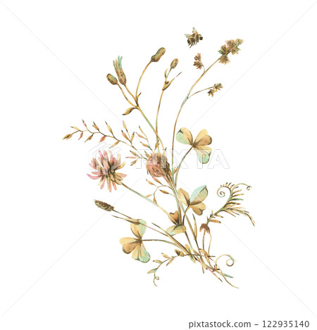 Field, meadow, wild flowers and herbs clover with shepherd's purse, pollen and bumblebee. Watercolor illustration hand drawn in beige, brown and ocher colors. Bouquet isolated from the background. 122935140