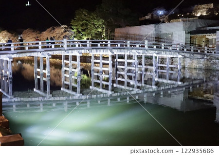 Hori no Hashi Bridge shining in the light of the cherry blossoms at night 122935686