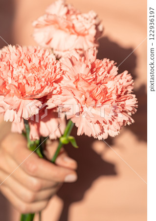 Woman's hand holding a bouquet of pink carnations. Woman's hand holding a bouquet of pink carnations. 122936197