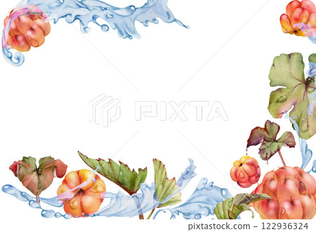 Cloudberry raspberry flying in wave water splashes with drops, hand drawn in watercolor, ripe red forest berry and leaves. Border frame illustration for restaurant, cafe menu, wedding, farmers market 122936324