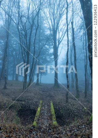 黑暗的森林與濃重的晨霧 122936413