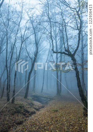 黑暗的森林與濃重的晨霧 122936415