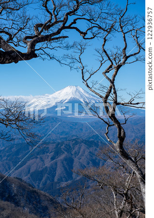 Snow-capped Mount Fuji photographed from the summit of Mt. Hinokiboramaru Snow-capped Mount Fuji photographed from the summit of Mt. Hinokiboramaru 122936757