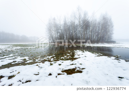 Snow and water in a meadow with trees on a foggy day Snow and water in a meadow with trees on a foggy day 122936774