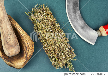 Dried wormwood medicinal herbs. Dried wormwood medicinal herbs. 122936817