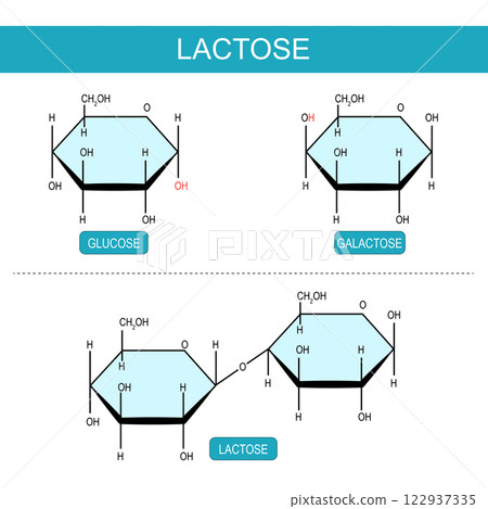 Galactose, Glucose, and Lactose molecules Galactose, Glucose, and Lactose molecules 122937335