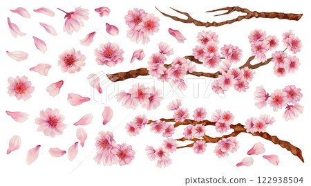 Large set of pink flowers, cherry petals, branches with flowers and bare branches. Realistic watercolor painting of spring blooming sakura flowers for Hanami festival. Shades of pink, lilac, purple. Large set of pink flowers, cherry petals, branches with flowers and bare branches. Realistic watercolor painting of spring blooming sakura flowers for Hanami festival. Shades of pink, lilac, purple. 122938504